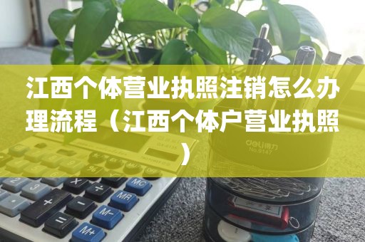 江西个体营业执照注销怎么办理流程(江西个体户营业执照)