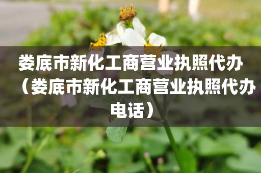 娄底市新化工商营业执照代办（娄底市新化工商营业执照代办电话）
