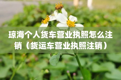 琼海个人货车营业执照怎么注销（货运车营业执照注销）