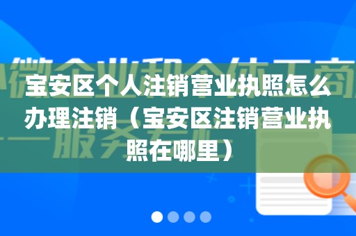 宝安区个人注销营业执照怎么办理注销(宝安区注销营业执照在哪里)