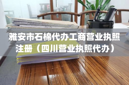 雅安市石棉代办工商营业执照注册（四川营业执照代办）