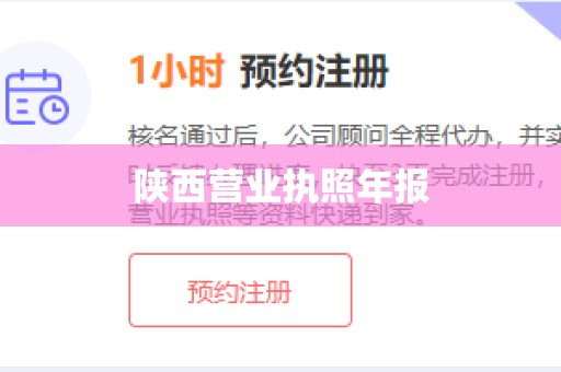 陕西营业执照年报