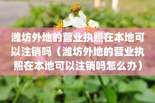 潍坊外地的营业执照在本地可以注销吗(潍坊外地的营业执照在本地可以注销吗怎么办)
