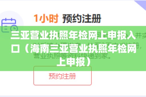 三亚营业执照年检网上申报入口（海南三亚营业执照年检网上申报）