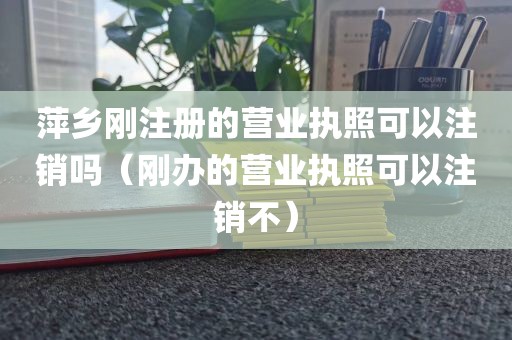 萍乡刚注册的营业执照可以注销吗（刚办的营业执照可以注销不）
