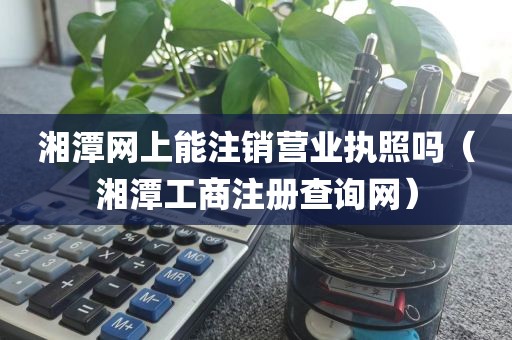 湘潭网上能注销营业执照吗（湘潭工商注册查询网）