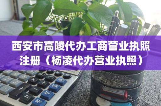 西安市高陵代办工商营业执照注册（杨凌代办营业执照）