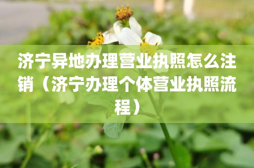 济宁异地办理营业执照怎么注销（济宁办理个体营业执照流程）