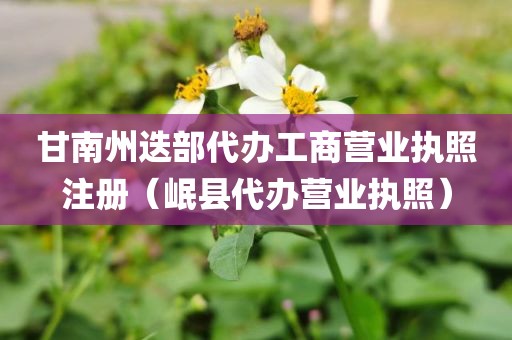 甘南州迭部代办工商营业执照注册（岷县代办营业执照）