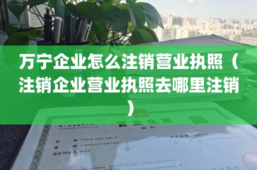 万宁企业怎么注销营业执照（注销企业营业执照去哪里注销）