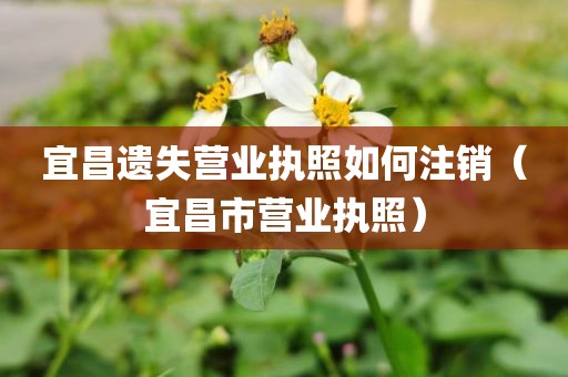 宜昌遗失营业执照如何注销（宜昌市营业执照）