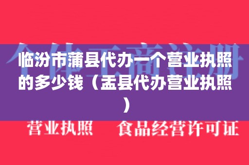 临汾市蒲县代办一个营业执照的多少钱(盂县代办营业执照)