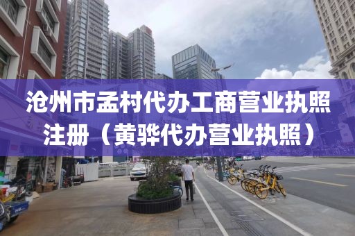 沧州市孟村代办工商营业执照注册（黄骅代办营业执照）