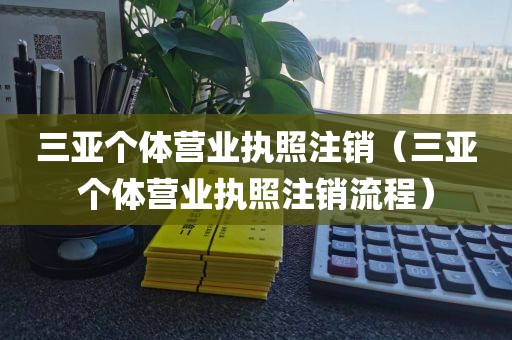 三亚个体营业执照注销(三亚个体营业执照注销流程)
