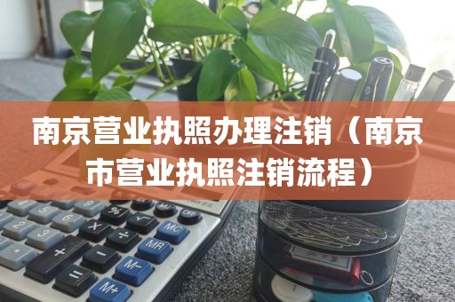 南京营业执照办理注销（南京市营业执照注销流程）