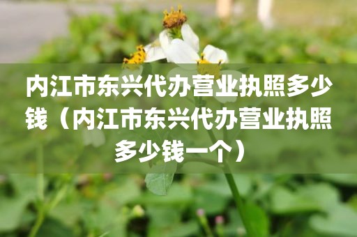 内江市东兴代办营业执照多少钱(内江市东兴代办营业执照多少钱一个)