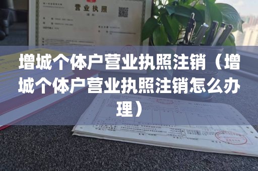增城个体户营业执照注销（增城个体户营业执照注销怎么办理）