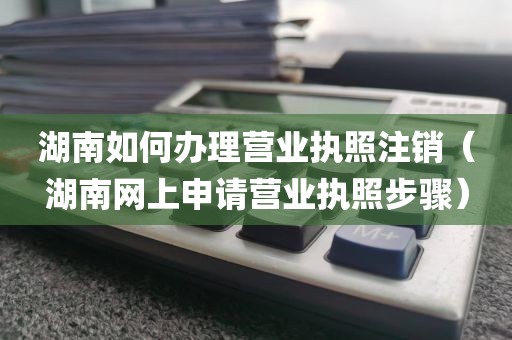 湖南如何办理营业执照注销（湖南网上申请营业执照步骤）