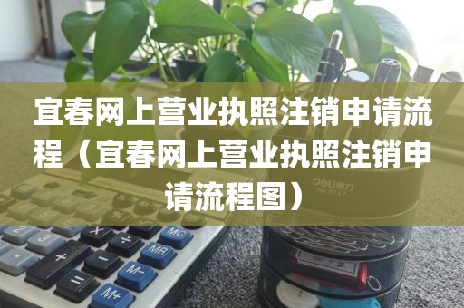 宜春网上营业执照注销申请流程（宜春网上营业执照注销申请流程图）