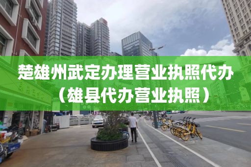 楚雄州武定办理营业执照代办（雄县代办营业执照）