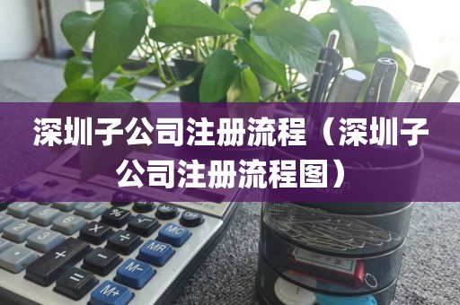 深圳子公司注册流程（深圳子公司注册流程图）