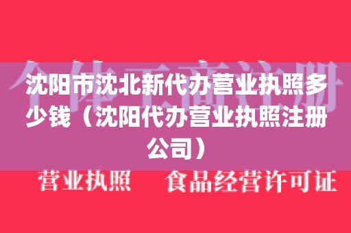 沈阳市沈北新代办营业执照多少钱（沈阳代办营业执照注册公司）