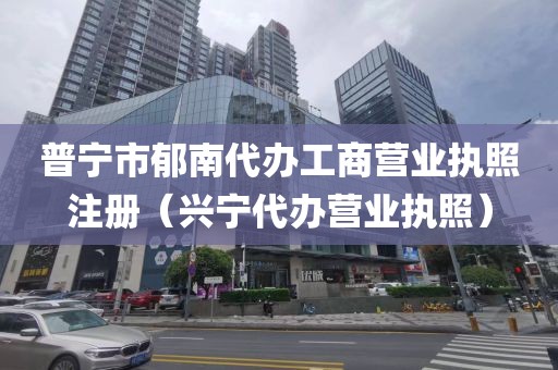 普宁市郁南代办工商营业执照注册（兴宁代办营业执照）
