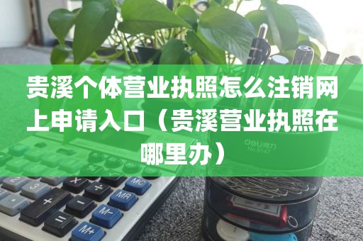 贵溪个体营业执照怎么注销网上申请入口（贵溪营业执照在哪里办）