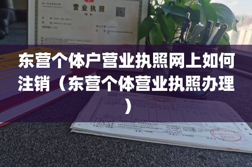 东营个体户营业执照网上如何注销（东营个体营业执照办理）
