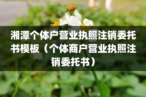 湘潭个体户营业执照注销委托书模板(个体商户营业执照注销委托书)