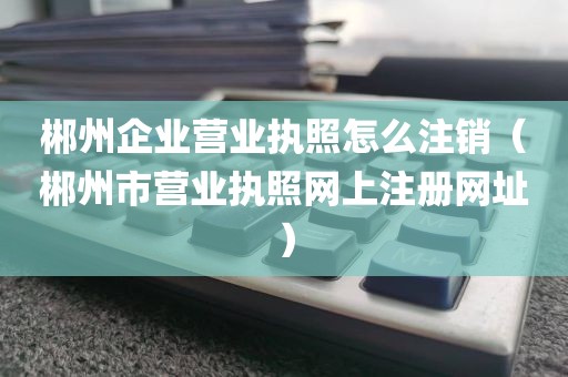 郴州企业营业执照怎么注销（郴州市营业执照网上注册网址）