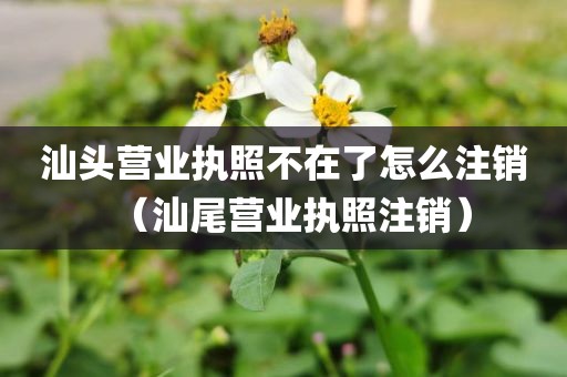 汕头营业执照不在了怎么注销（汕尾营业执照注销）