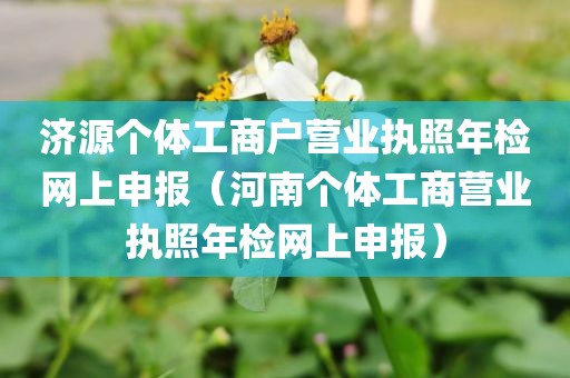 济源个体工商户营业执照年检网上申报（河南个体工商营业执照年检网上申报）