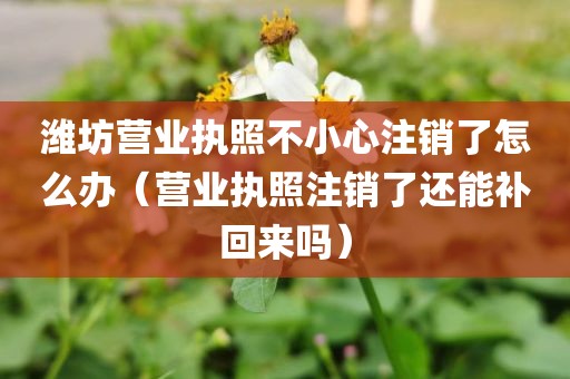 潍坊营业执照不小心注销了怎么办（营业执照注销了还能补回来吗）