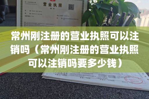 常州刚注册的营业执照可以注销吗（常州刚注册的营业执照可以注销吗要多少钱）
