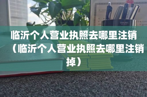 临沂个人营业执照去哪里注销（临沂个人营业执照去哪里注销掉）