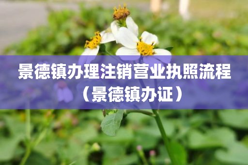 景德镇办理注销营业执照流程（景德镇办证）