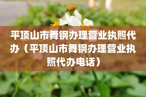 平顶山市舞钢办理营业执照代办(平顶山市舞钢办理营业执照代办电话)