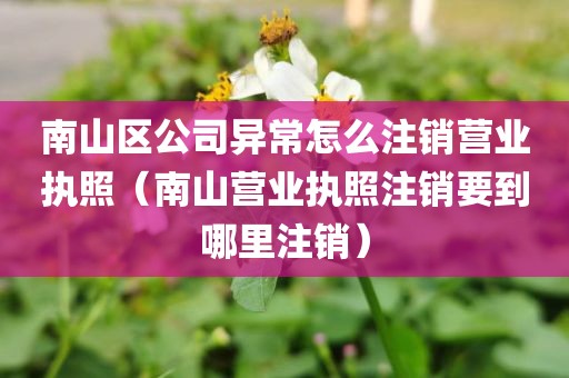 南山区公司异常怎么注销营业执照（南山营业执照注销要到哪里注销）