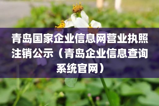 青岛国家企业信息网营业执照注销公示（青岛企业信息查询系统官网）