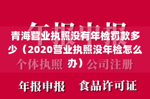 青海营业执照没有年检罚款多少(2020营业执照没年检怎么办)