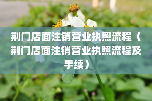 荆门店面注销营业执照流程（荆门店面注销营业执照流程及手续）