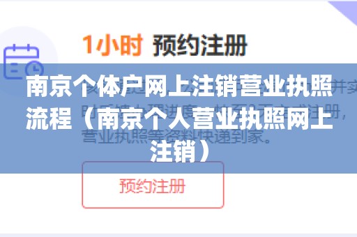 南京个体户网上注销营业执照流程（南京个人营业执照网上注销）