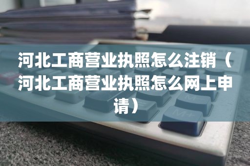 河北工商营业执照怎么注销(河北工商营业执照怎么网上申请)