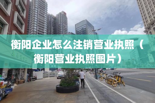 衡阳企业怎么注销营业执照（衡阳营业执照图片）