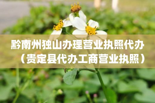 黔南州独山办理营业执照代办（贵定县代办工商营业执照）