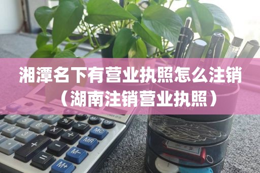 湘潭名下有营业执照怎么注销（湖南注销营业执照）