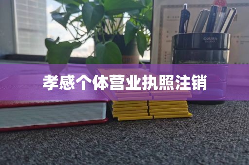 孝感个体营业执照注销