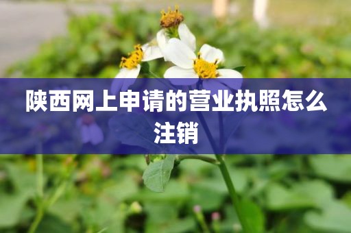 陕西网上申请的营业执照怎么注销