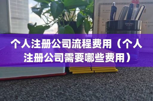 个人注册公司流程费用（个人注册公司需要哪些费用）